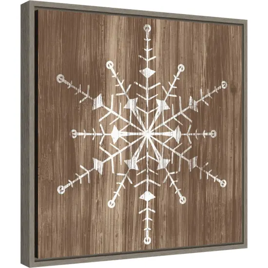 Barnwood Wonderland II Snowflake by June Erica Vess Canvas Wall Art Print Framed {6}