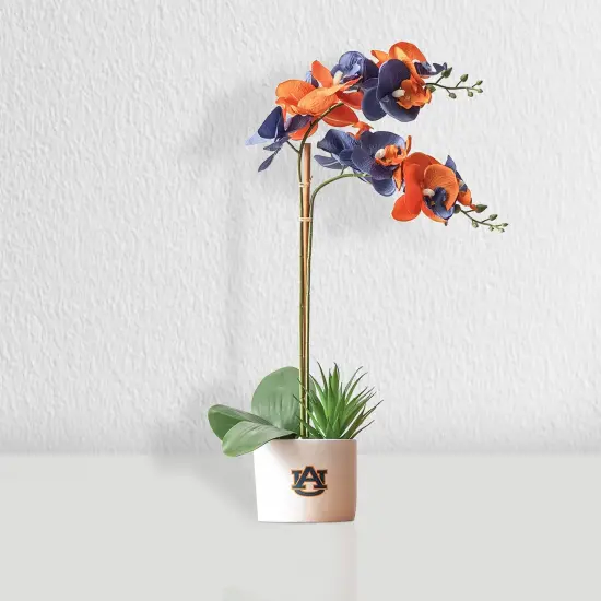 Auburn Tigers Faux Snake Plant and Orchid (2 Pack) - Fan-Favorite Gift Bundle {2}
