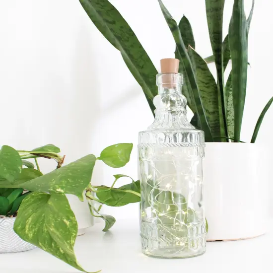 Perfect Holiday 10 Pack 8 LED Bottle Lights {1}