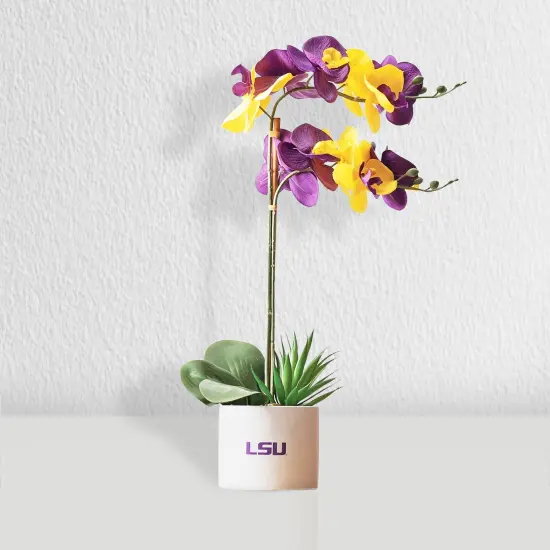LSU Faux Hydrangea and Orchid (2 Pack) - Fan-Favorite Gift Bundle {2}