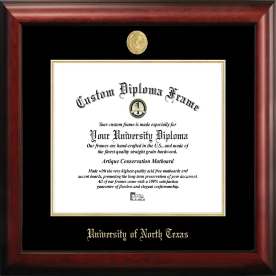 University of North Texas 14w x 11h Gold Embossed Diploma Frame {1}