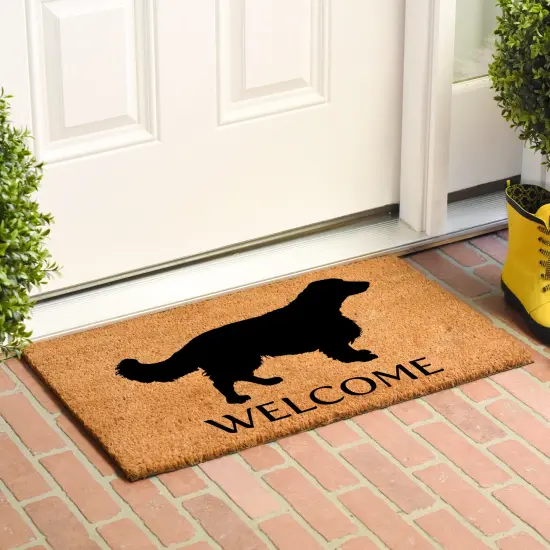 English Springer Spaniel Doormat {3}