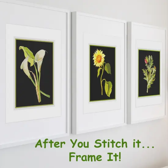 Purple Iris Flowers by Mary Delany Counted Cross Stitch Pattern {3}