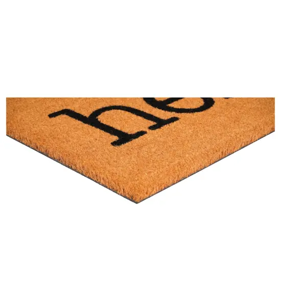 107891729 Hello Paw Doormat {4}