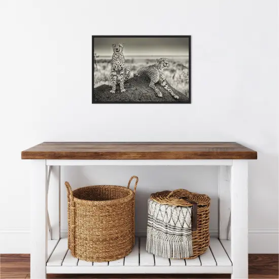 Two Cheetahs watching out by Henrike Scheid 23-in. W x 16-in. H. Canvas Wall Art Print Framed in Black {5}