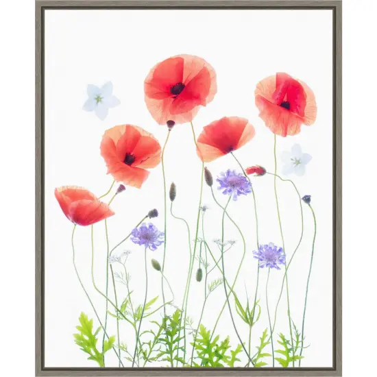 Poppy Garden by Sharon Williams 16-in. W x 20-in. H. Canvas Wall Art Print Framed in Grey {1}