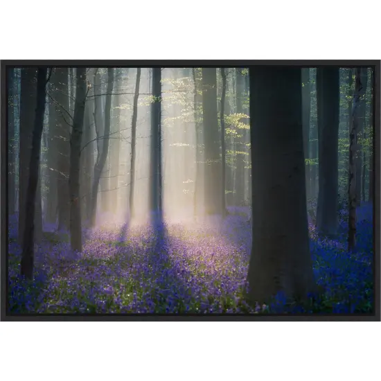 Velvet Light by Adrian Popan 23-in. W x 16-in. H. Canvas Wall Art Print Framed in Black {1}