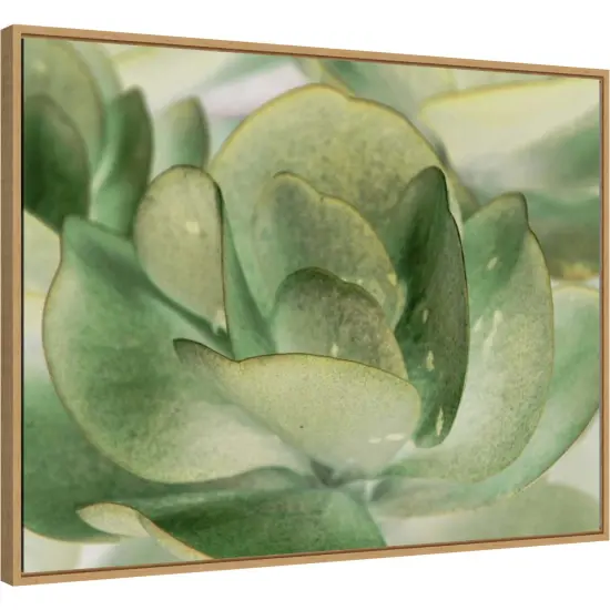 Petal I by Tang Ling 30-in. W x 23-in. H. Canvas Wall Art Print Framed in Natural {2}