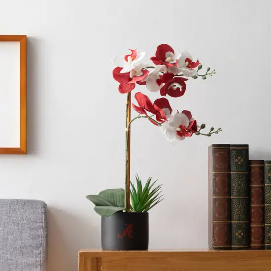 Alabama Orchid Plant - University of Alabama Faux Orchid Plant - Alabama Gifts for Men, Alabama Gifts for Women - Alabama Gifts, Crimson Tide Decorations - Office Accessories for Men {3}