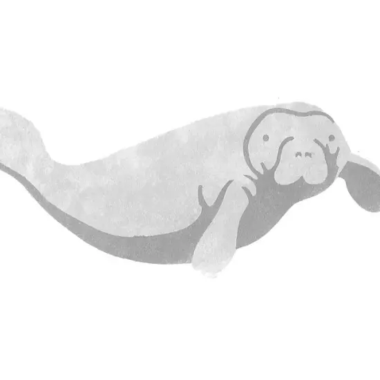 Single Manatee Wall Stencil | 2453 by Designer Stencils | Animal & Nature Stencils | Reusable Art Craft Stencils for Painting on Walls, Canvas, Wood | Reusable Plastic Paint Stencil for Home Makeover | Easy to Use & Clean Art Stencil {2}