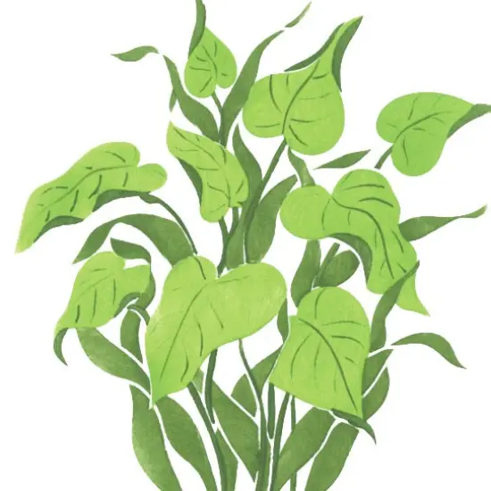 Green Tropical Plant Wall Stencil | 1737 by Designer Stencils | Animal & Nature Stencils | Reusable Art Craft Stencils for Painting on Walls, Canvas, Wood | Reusable Plastic Paint Stencil for Home Makeover | Easy to Use & Clean Art Stencil {2}