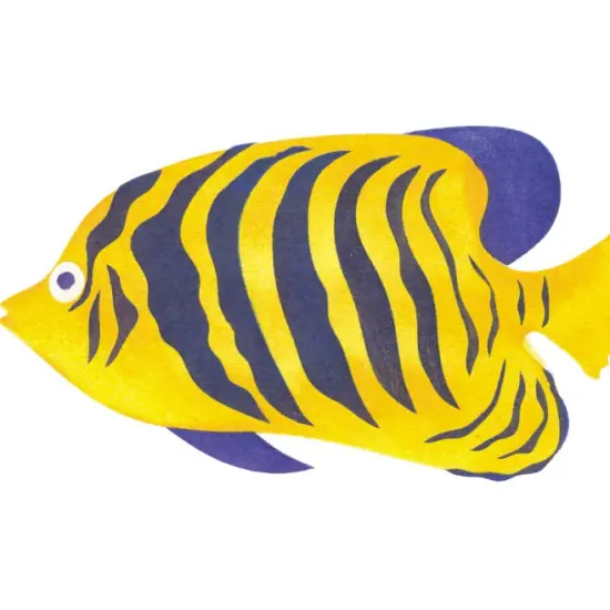 Angel Fish Wall Stencil | 1116 by Designer Stencils | Animal & Nature Stencils | Reusable Art Craft Stencils for Painting on Walls, Canvas, Wood | Reusable Plastic Paint Stencil for Home Makeover | Easy to Use & Clean Art Stencil {2}