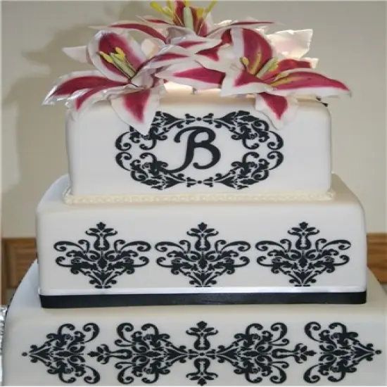 Lace Cake Stencil Set #1 | C362 by Designer Stencils | Cake Decorating Tools | Baking Stencils for Royal Icing, Airbrush, Dusting Powder | Reusable Plastic Food Grade Stencil for Cakes | Easy to Use & Clean Cake Stencil {2}