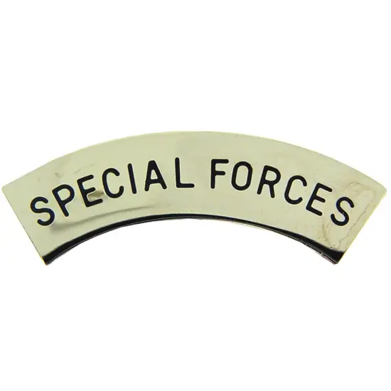 U.S. Army Special Forces Pin Silver Plated 1 9/16" {1}