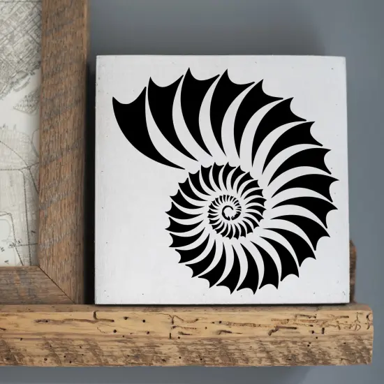 Nautilus Shell Embossing 12 x 12 Stencil | FS067 by Designer Stencils | Reusable Stencils for Painting | {5}