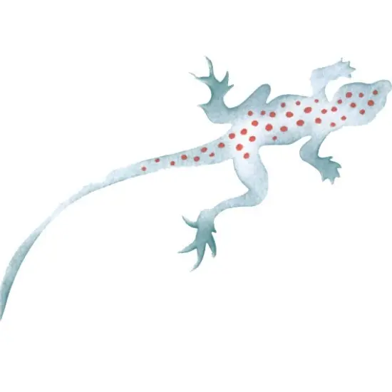 Lizard Wall Stencil | 2273 by Designer Stencils | Animal & Nature Stencils | Reusable Art Craft Stencils for Painting on Walls, Canvas, Wood | Reusable Plastic Paint Stencil for Home Makeover | Easy to Use & Clean Art Stencil {2}