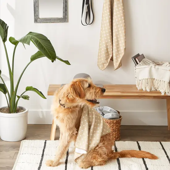 DII Taupe Printed Trellis Paw Small Pet Towel (Set of 3) {4}