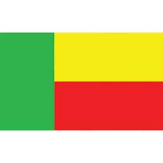 Benin Flag On A Stick 12" x 18" {1}