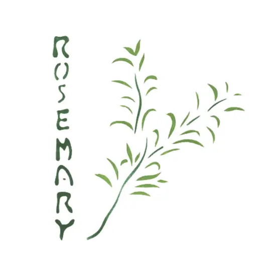 Rosemary Tile Wall Stencil | 1402 by Designer Stencils | Word & Phrase Stencils | Reusable Art Craft Stencils for Painting on Walls, Canvas, Wood | Reusable Plastic Paint Stencil for Home Makeover | Easy to Use & Clean Art Stencil {1}