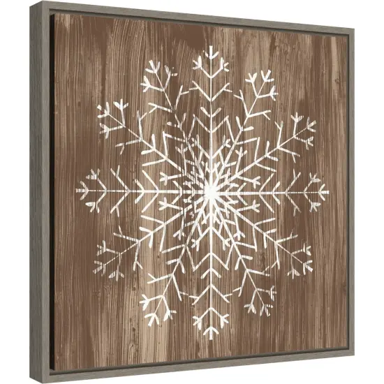 Barnwood Wonderland III Snowflake by June Erica Vess Canvas Wall Art Print Framed {1}