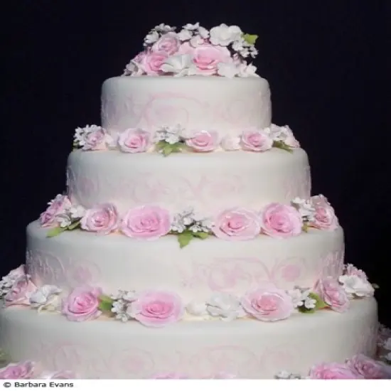 Flower Scroll Cake Stencil Side | C119T by Designer Stencils | Cake Decorating Tools | Baking Stencils for Royal Icing, Airbrush, Dusting Powder | Reusable Plastic Food Grade Stencil for Cakes | Easy to Use & Clean Cake Stencil {2}