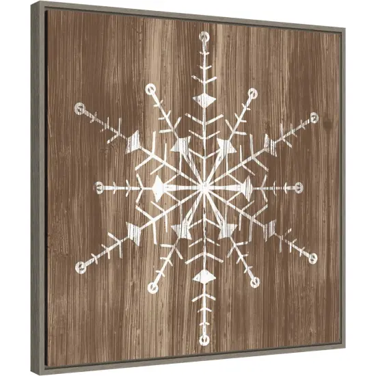Barnwood Wonderland II Snowflake by June Erica Vess Canvas Wall Art Print Framed {1}