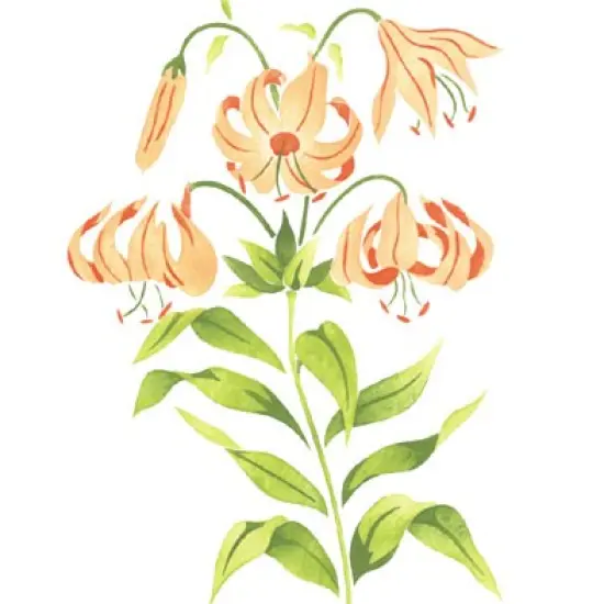 Lily Flower Wall Stencil | 1948 by Designer Stencils | Floral Stencils | {2}