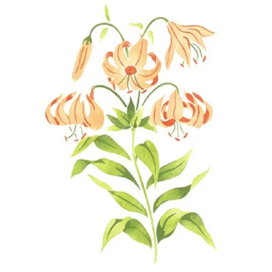 Lily Flower Wall Stencil | 1948 by Designer Stencils | Floral Stencils | {1}