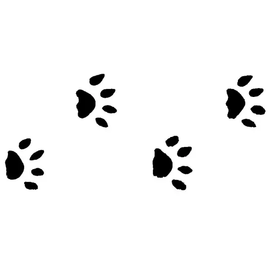 Cat Paw Prints Wall Stencil | 230 by Designer Stencils | Reusable Art Craft Stencils for Painting | {2}