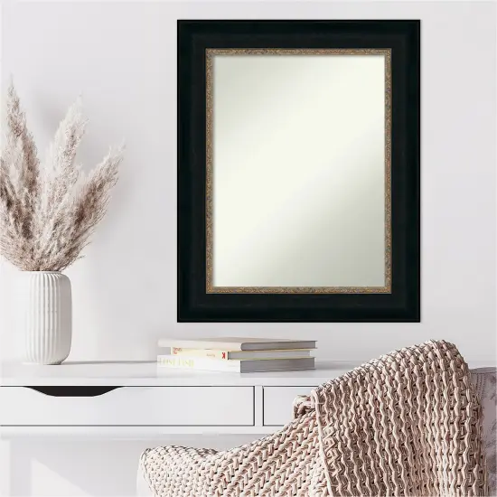 Amanti Art Non-Beveled Wall Mirror, Paragon Bronze Frame {6}