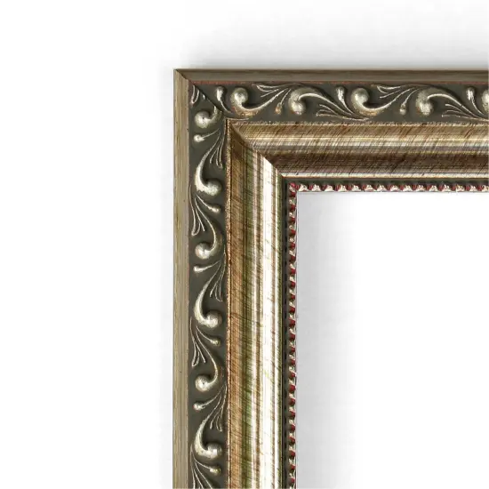 Amanti Art Non-Beveled Wood Wall Mirror, Parisian Silver Frame {9}