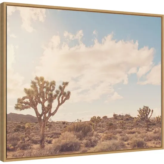 Sunshine and Joshua Trees by Myan Soffia Canvas Art Framed {2}