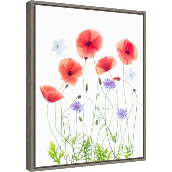 Poppy Garden by Sharon Williams 16-in. W x 20-in. H. Canvas Wall Art Print Framed in Grey {2}