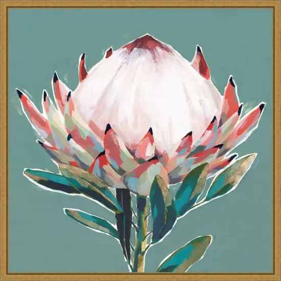 Blooming Pink King Protea Flower by Isabelle Z 16-in. W x 16-in. H. Canvas Wall Art Print Framed in Gold {1}