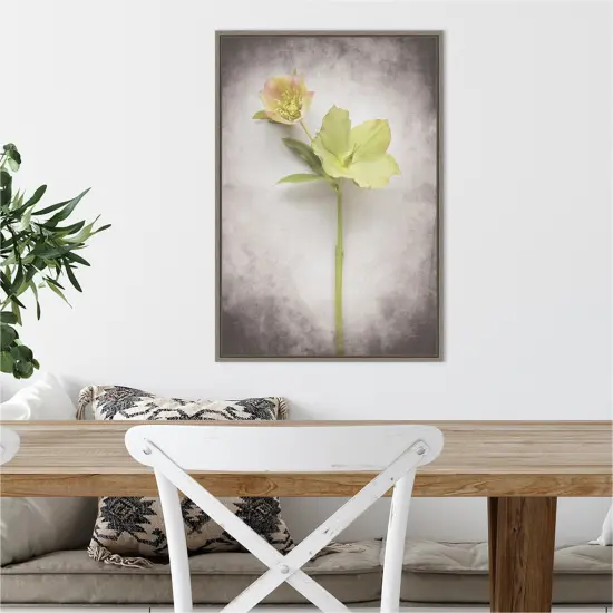 Vintage Hellebore Study II by Felicity Bradley 16-in. W x 23-in. H. Canvas Wall Art Print Framed in Grey {5}