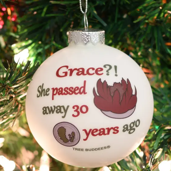 Grace?! She Passed Away 30 Years Ago Glass Christmas Ornament {2}