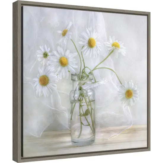 Daisies by Mandy Disher 16-in. W x 16-in. H. Canvas Wall Art Print Framed in Grey {2}