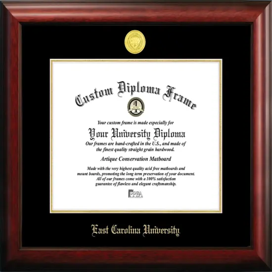 East Carolina University 14w x 11h Gold Embossed Diploma Frame {1}