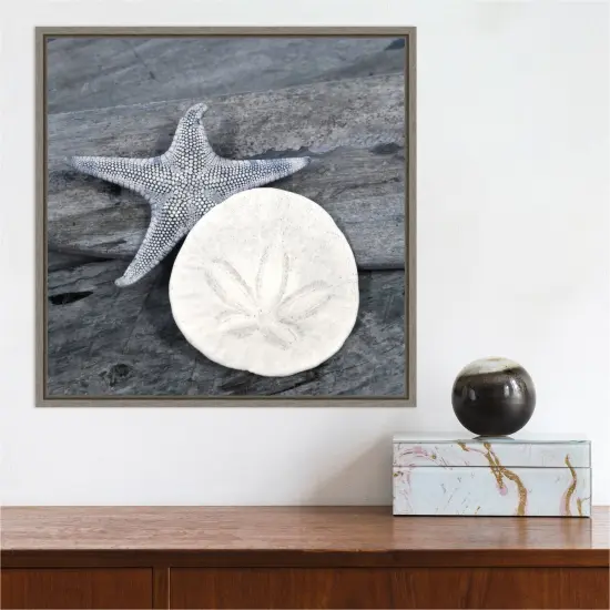Nautical Shell still life by Savanah Plank Danita Delimont 16-in. W x 16-in. H. Canvas Wall Art Print Framed in Grey {5}