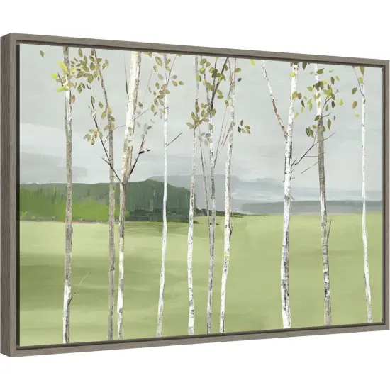 Birch Valley (Trees) by Allison Pearce 23-in. W x 16-in. H. Canvas Wall Art Print Framed in Grey {2}