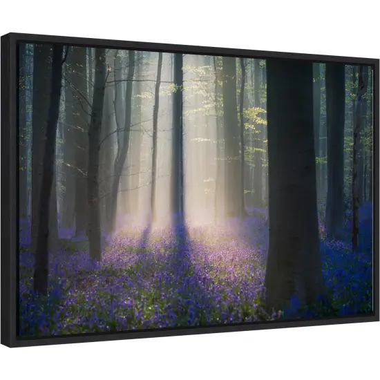 Velvet Light by Adrian Popan 23-in. W x 16-in. H. Canvas Wall Art Print Framed in Black {2}