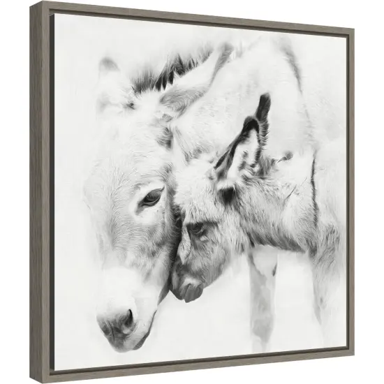 Donkey Portrait III by PHBurchett 16-in. W x 16-in. H. Canvas Wall Art Print Framed in Grey {2}