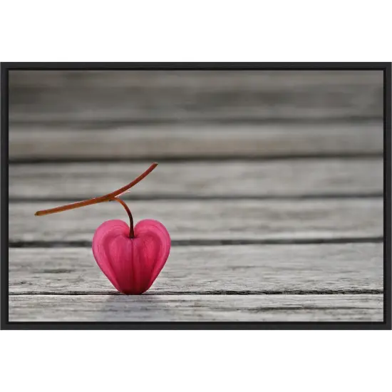 Natural heart by Lotte Gronkjaer 23-in. W x 16-in. H. Canvas Wall Art Print Framed in Black {1}