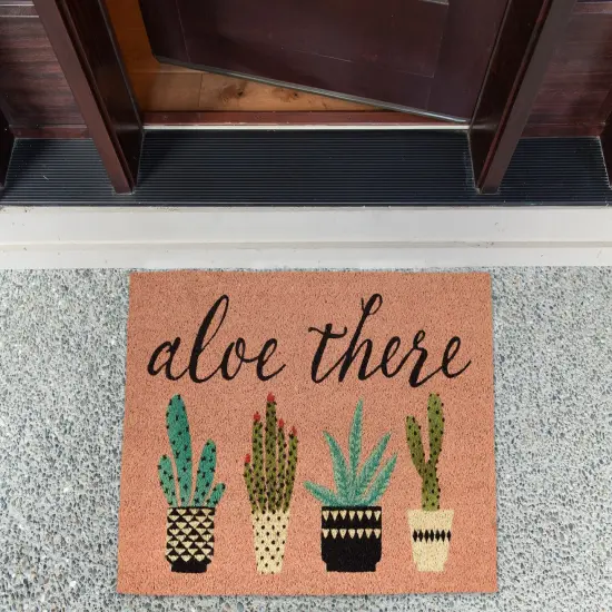 DII Aloe There Doormat {2}