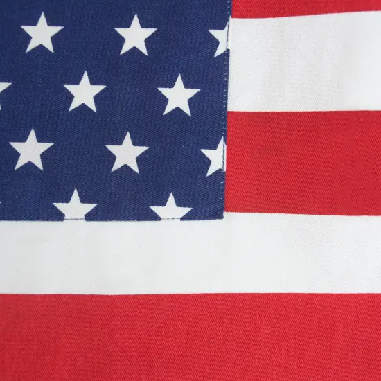 DII Stars & Stripes Print Ap {2}