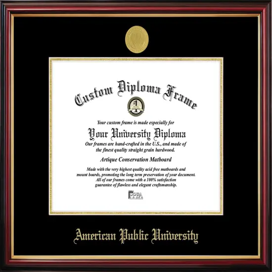 American Public University Petite Diploma Frame {1}