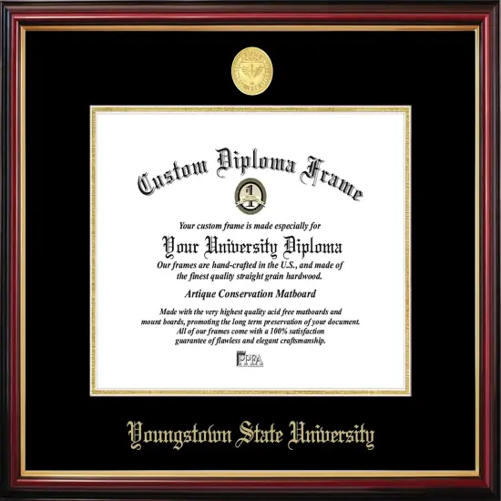 Youngstown State University Petite Diploma Frame {1}