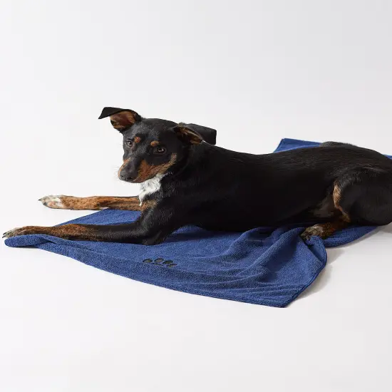 RED BUFFALO CHECK SCRUBBER DISHCLOTH SET/6 {2}