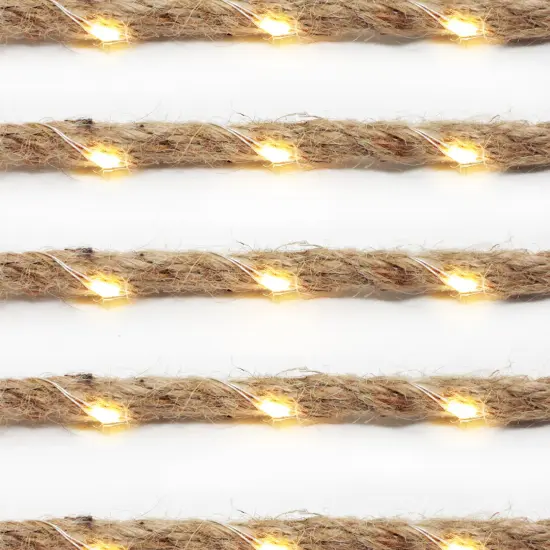 Perfect Holiday 30 LED String Light Rope Battery Operated - Warm White {1}
