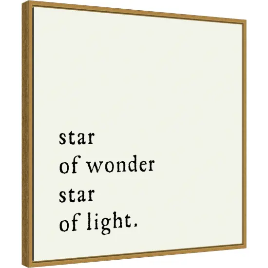 Star Of Wonder by Amanti Art Portfolio 22-in. W x 22-in. H. Canvas Wall Art Print Framed in Gold {1}